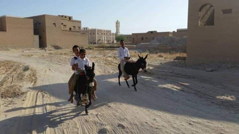 حضرموت: طلاب المدارس يستخدمون الحمير بعد ارتفاع أجرة المواصلات
