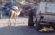 أهالي يافع يلجأون الى الجمال لنقل حاجياتهم