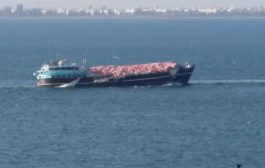 مدير عام العمليات البحرية بعدن ينفي غرق سفينة في خليج عدن
