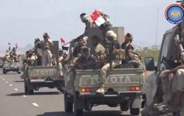 قوات طارق صالح تدفع بتعزيزات جديدة ونوعية في محافظة الحديدة