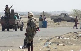 التحيتا : العمالة تمرغ نوف مليشيات الحوثي في وحل الهزيمة والانكسار