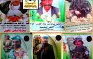 مليشيات الحوثي خسائر بالجملة