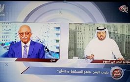 الدالي : الوحدة ماتت ..وبدايتها كانت مستعجلة