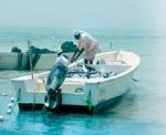 بتمويل الهلال الاماراتي : إفتتاح مشروع مرسى الرويس للصيد والإنزال السمكي في المخا