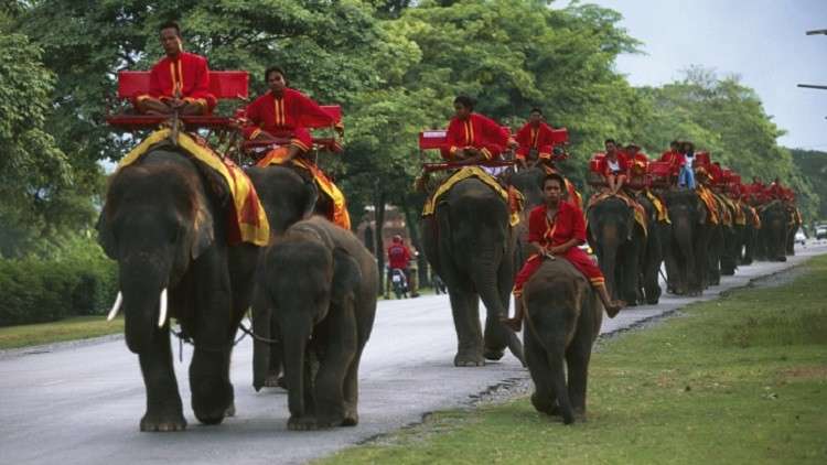 10 آلاف عريس بباب ابنة المليونير!