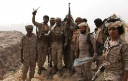 بإسناد من التحالف.. مكاسب ميدانية في الجوف وصعدة ضد الحوثيين