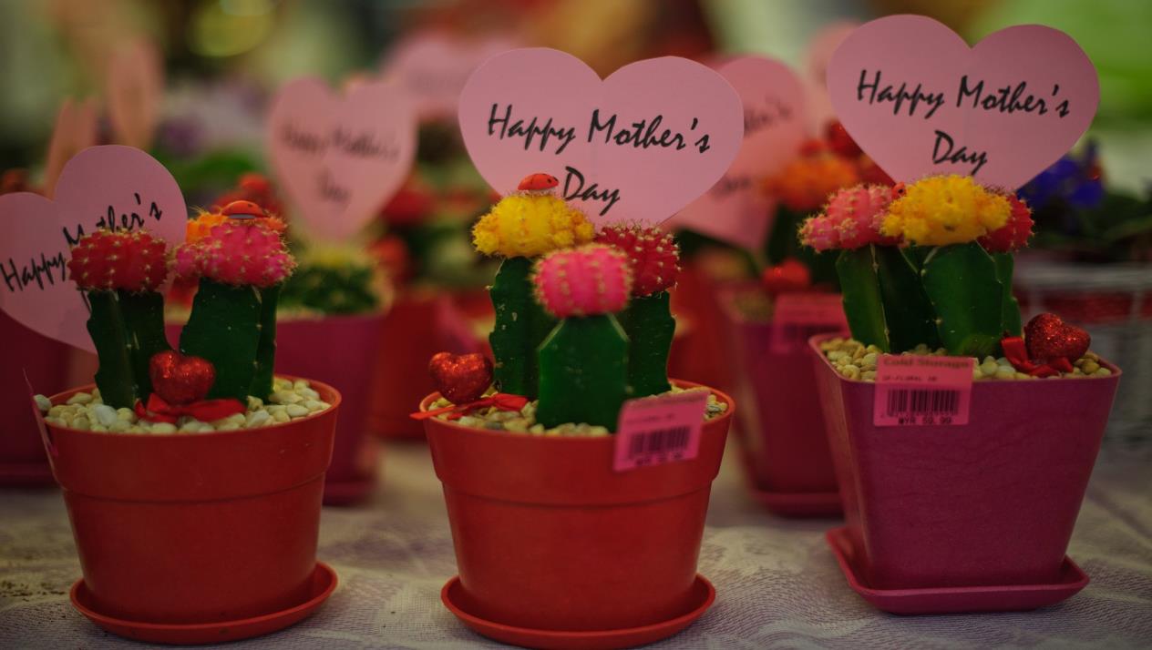 أفضل ما تقدمه لأمك في عيدها