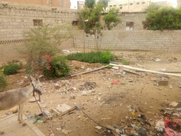 مدير إدارة التربية والتعليم الحوطه يوقف اعتداء جديد على روضة الشروق مدير إدارة التربية والتعليم الحوطه يوقف اعتداء جديد على روضة الشروق