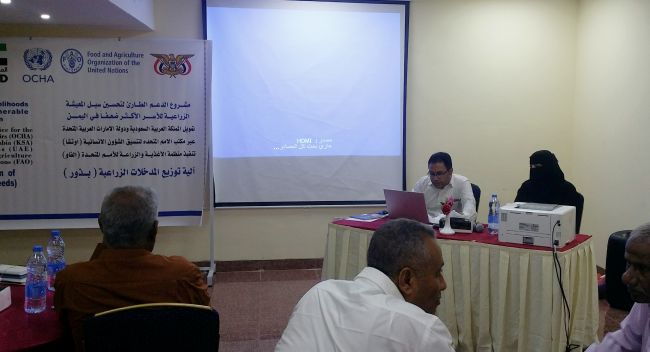 الفاو