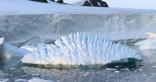 العلماء يحذرون: الجليد ينخفض فى غرب أنتاركتيكا بمقدار 400 قدم