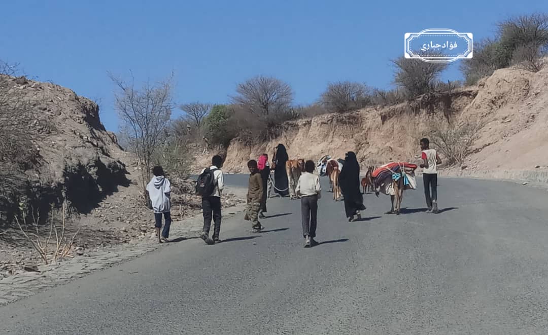 لليوم الرابع؛ مناطق غرب حجر بالضالع تعيش حالة من الحصار والقصف والمقاوم تصد هجوما