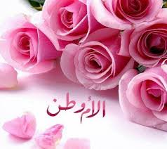 الأم وطن لا يعادله أي منفئ !!!