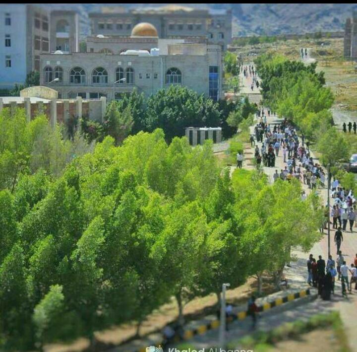 الشعيبي يثمن تعاون المحافظ شمسان …   جامعة تعز اول جامعة حكومية  تطبق نظام  ألي لتطوير وادارة مواردها البشرية والمالية