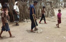 باحثة أمريكية : الألغام التي زرعتها مليشيا الحوثي تشكل تهديداً يفوق أي سلام محتمل