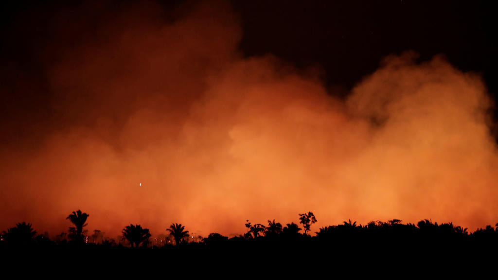 البرازيل: غابة الأمازون الأكبر في العالم تحترق