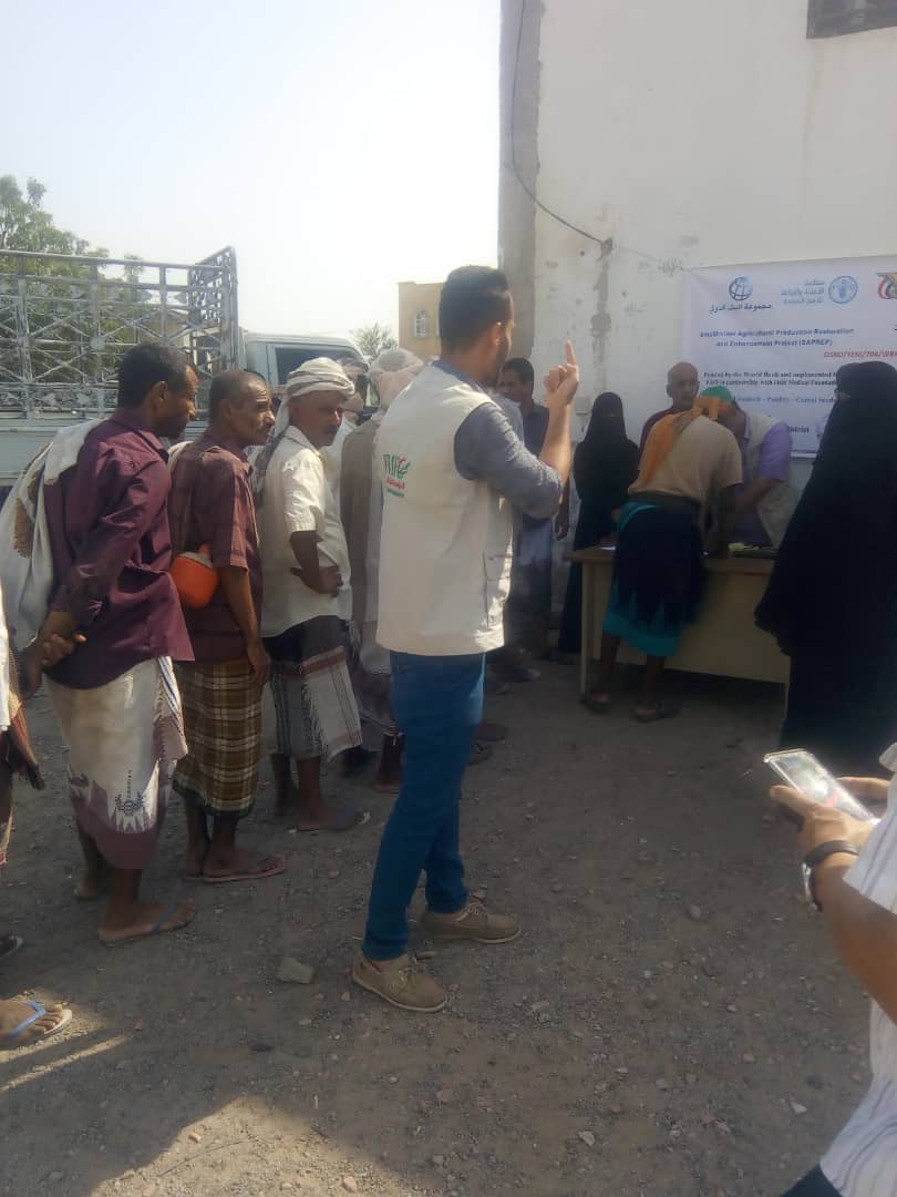 وكيل وزارة الزراعة ومدير مديرية تبن يدشنان توزيع الثروة الحيوانية لصغار المزارعين 