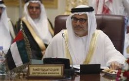 وزير الدولة الإماراتي قرقاش يعلق على تظاهرات مصر