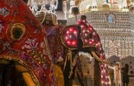 أفيال غاضبة تحوّل مهرجانًا بوذيًا إلى دماء في سيرلانك