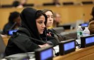 الإمارات ترفض اتهامات الشرعية بالأمم المتحدة