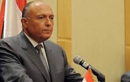 وزير الخارجية المصري: العملية التركية في سوريا ”احتلال“