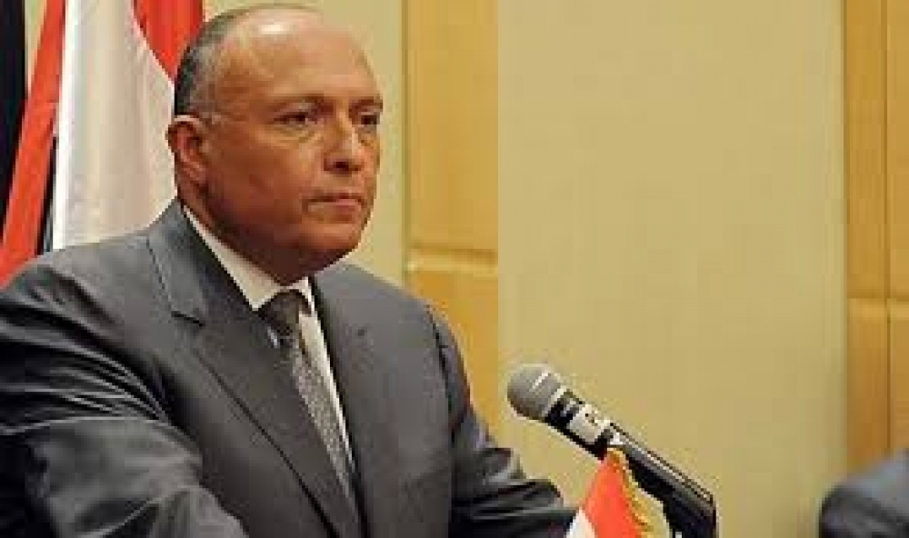 وزير الخارجية المصري: العملية التركية في سوريا ”احتلال“