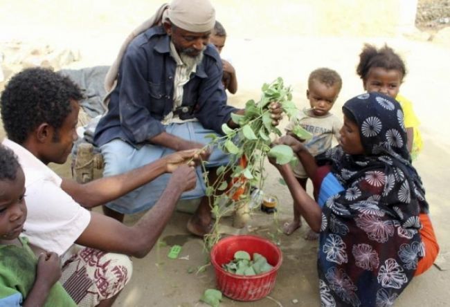 اليونيسيف تحذر: أكثر من 16 مليون طفل في اليمن و3 دول عربية في خطر