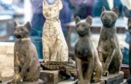 كيف قدس المصريون القدماء القطط؟ بعد ما كان قتلها جريمة تستوجب الثورة على الحاكم