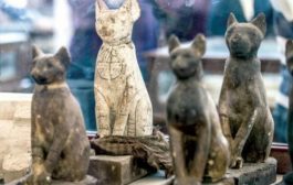 كيف قدس المصريون القدماء القطط؟ بعد ما كان قتلها جريمة تستوجب الثورة على الحاكم