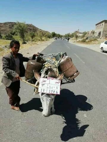 بالصورة الحمير في اليمن تحمل رقما جمركيا “هل ستعجب الفكرة الحوثيين لتطبيقها”؟