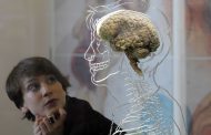 خطوة كبيرة.. علماء يطوّرون جهاز ذاكرة يشبه الدماغ!