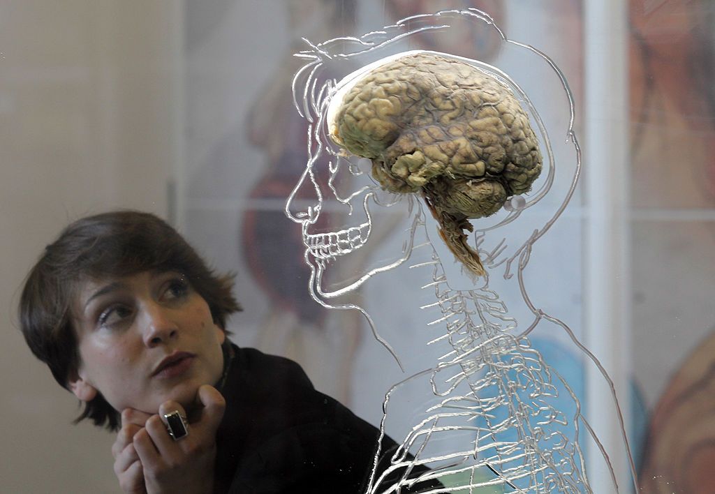خطوة كبيرة.. علماء يطوّرون جهاز ذاكرة يشبه الدماغ!