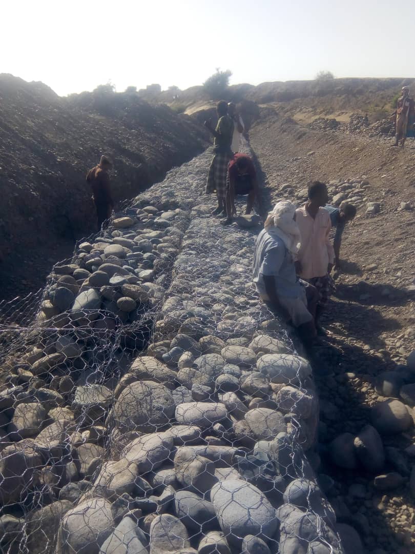 وكيل وزارة الزراعة يتفقد عدد من القنوات الزراعية في لحج.. وثمن دور المنظمات 