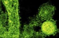 منظمة الصحة العالمية تعلن ان فيروس كورونا ليس وباء وتم تحديد تسلسله الجيني