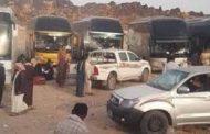 المليشيات الحوثية توقف جميع رحلات النقل الجماعي