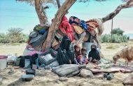 الصليب الأحمر : النظام الصحي في اليمن هش ونصف المرافق الصحية  خارجة عن الخدمة