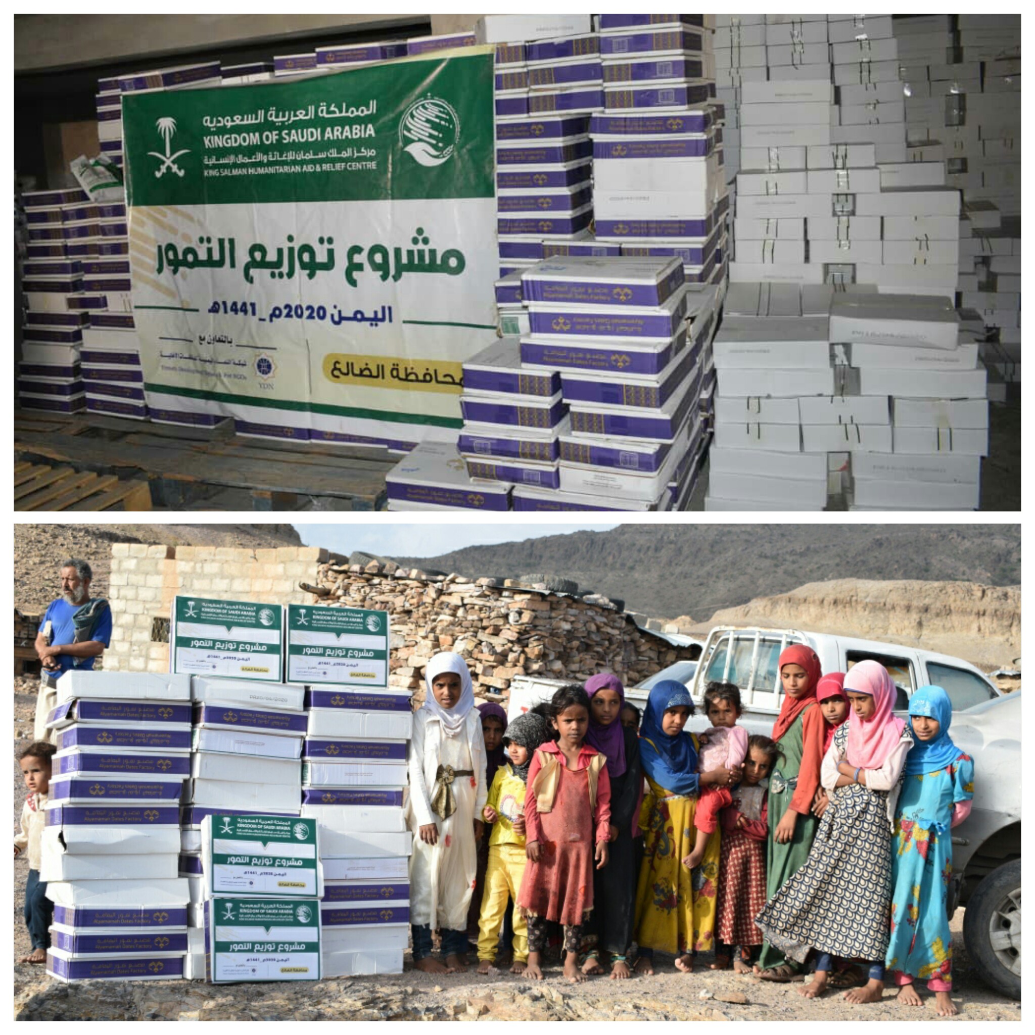 مركز الملك سلمان يدشن توزيع المرحلة الثانية من التمور على النازحين والاسر الفقيرة في محافظة الضالع