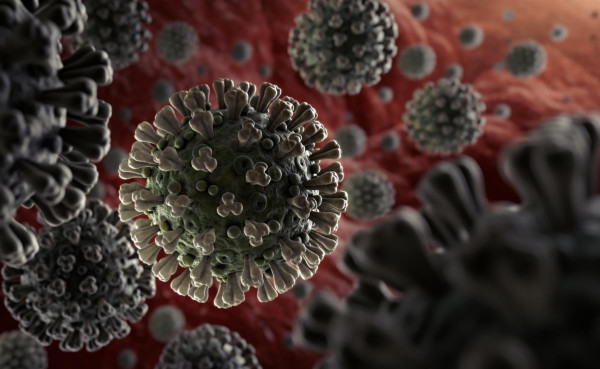 فيروس (كورونا) يحصد أرواح 240 ألفاً حول العالم منذ ظهوره
