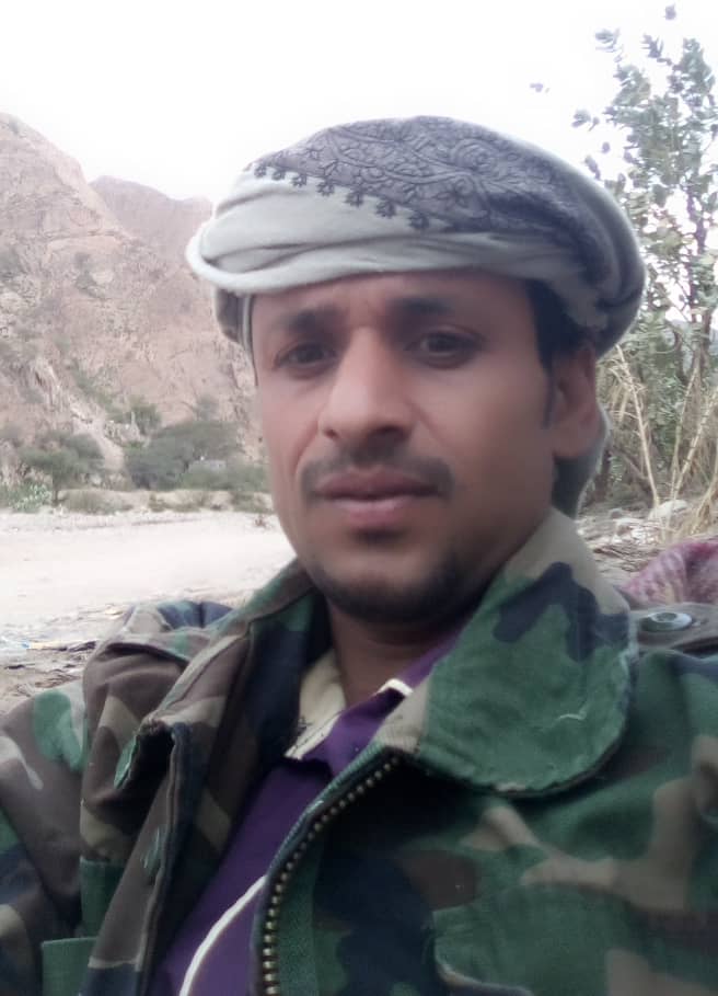 الصقور المستهترة