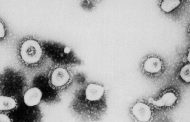 دراسة جديدة تؤكد العثور على فيروس كورونا في منطقة صادمة للرجل