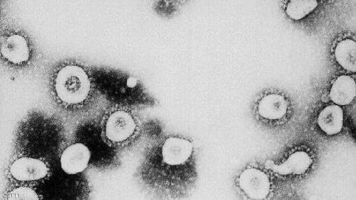 دراسة جديدة تؤكد العثور على فيروس كورونا في منطقة صادمة للرجل