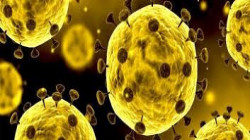شركة بريطانية تعلن عن أول علاج مضاد لفيروس ” كورونا ” وموعد طرحه للتداول العام في العالم !