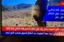 المليشيا الحوثية تشرع في بناء ضريح للطاغية أحمد في الفناء الأمامي لجامع الرضوان