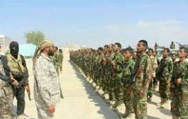 قيادة وجنود الحزام الأمني الضالع  دروس في ثورية الصبر والصمود