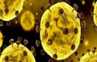 علماء يكتشفون نقطة ضعف فيروس كورونا
