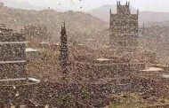 بسبب إعصاران الجراد يغزو اليمن
