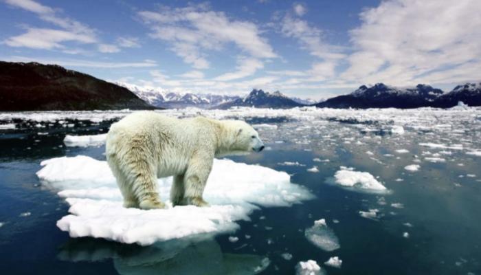 تغير في المناخ.. ووضع حرارة القطب الجنوبي عن بقية العالم