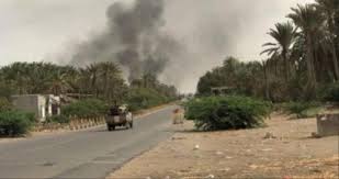 مقتل 9 حوثيين في هجوم لهم بمنطقة الفازة 