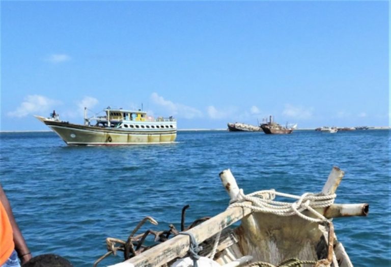 إيران تنفذ أكبر عمليات سرقة للثروة السمكية بالعالم في المياه اليمنية