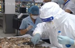 الصين تكتشف عبوات جمبري مجمد تحمل فيروس كورونا