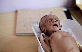منظمات تابعة للأمم المتحدة: أزمات اليمن قد تفقد 1.2 مليون غذائهم